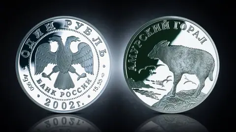 Амурский горал