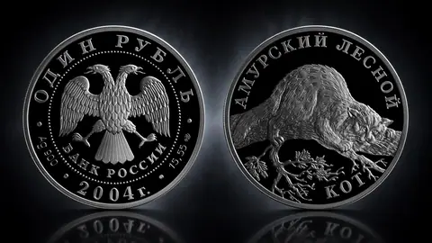 Амурский лесной кот