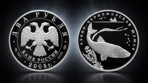 Азово-черноморская шемая