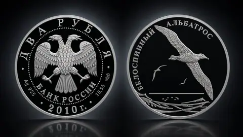 Белоспинный альбатрос