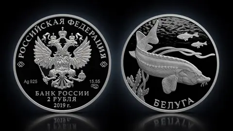 Белуга