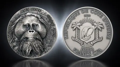 "Большая пятерка Азии: Орангутанг" 2023 г. 155,5 г ч. серебра. Кот-д’Ивуар