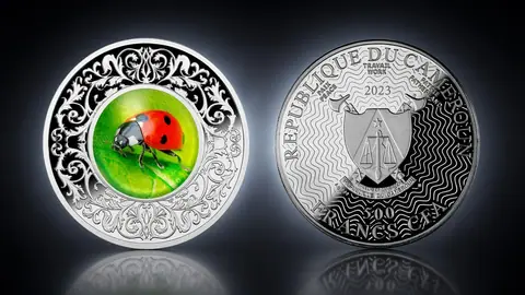 "Божья коровка" 2023 г., 17,5 г серебра. Камерун