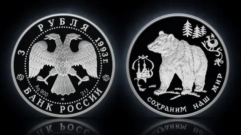 Бурый медведь