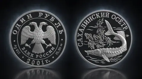 Cахалинский осетр