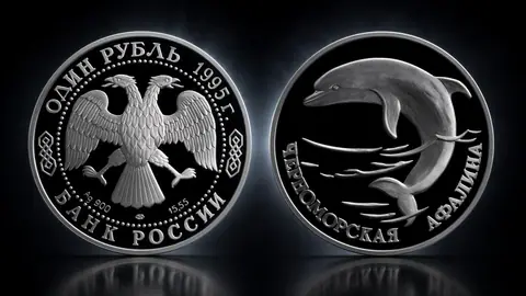 Черноморская афалина