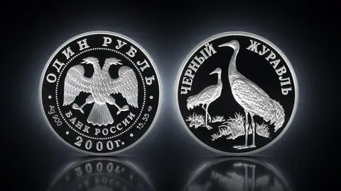 Чёрный журавль