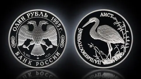 Дальневосточный аист