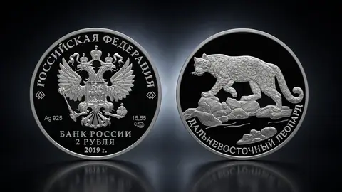 Дальневосточный леопард