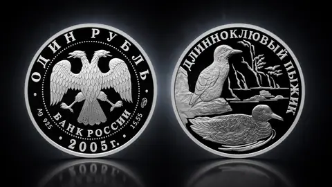 Длинноклювый пыжик