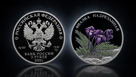 Фиалка надрезанная