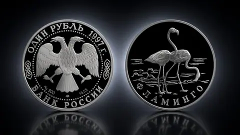 Фламинго