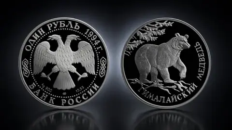 Гималайский медведь