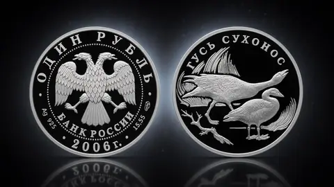 Гусь сухонос