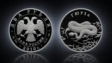 Гюрза