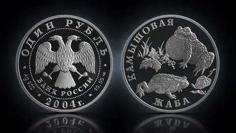 Камышовая жаба