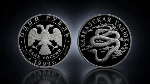 Кавказская гадюка