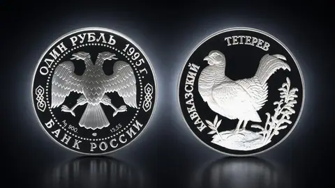 Кавказский тетерев