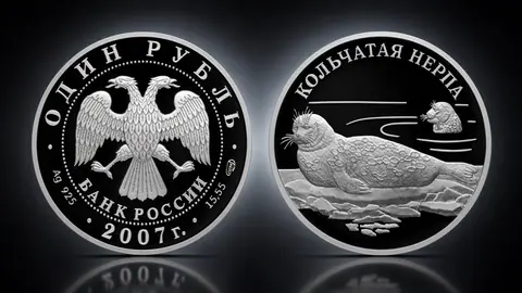 Кольчатая нерпа (ладожский подвид)
