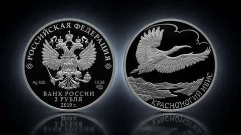 Красноногий ибис