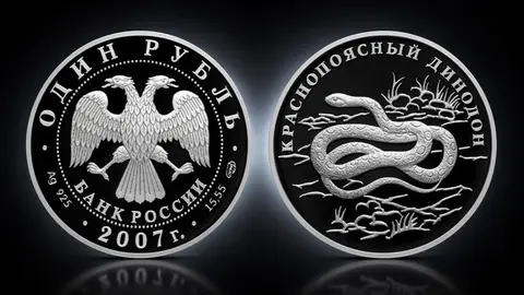 Краснопоясный динодон