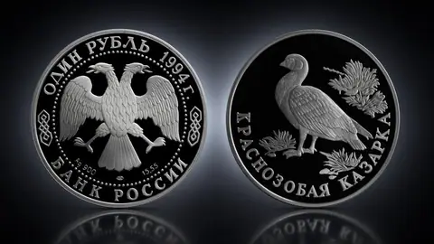 Краснозобая казарка