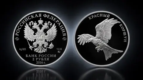 Красный коршун