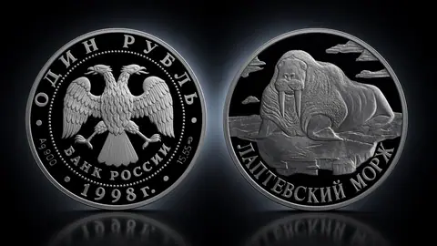 Лаптевский морж