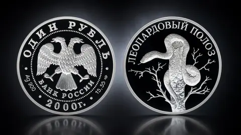 Леопардовый полоз