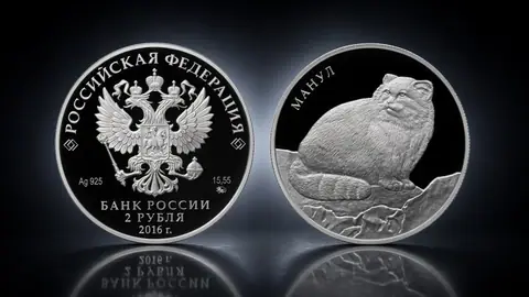 Манул