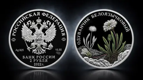 Одуванчик белоязычковый