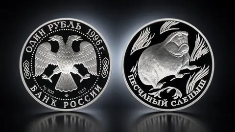 Песчаный слепыш