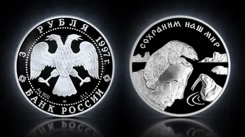 Полярный медведь