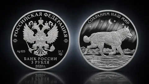 Полярный волк