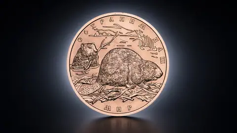 Речной бобр, 100 рублей, 2008