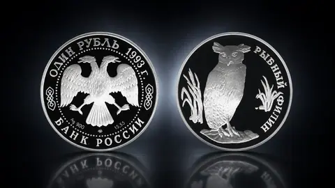 Рыбный филин
