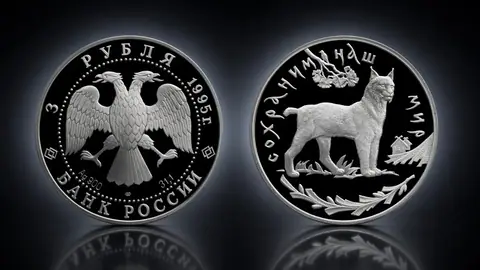Рысь