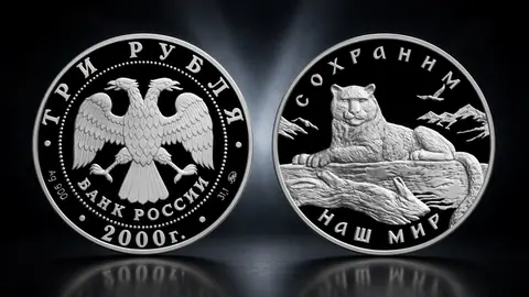 Снежный барс