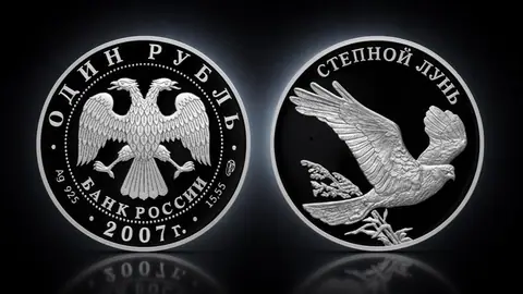 Степной лунь