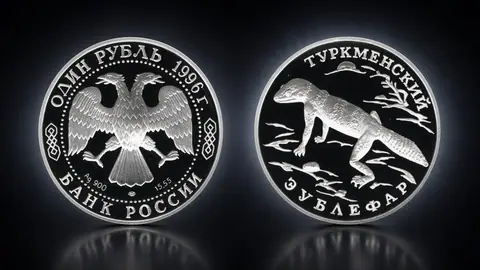 Туркменский эублефар