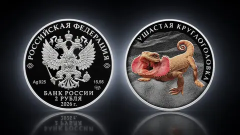 Ушастая круглоголовка