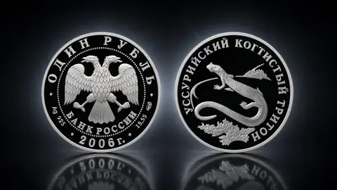 Уссурийский когтистый тритон