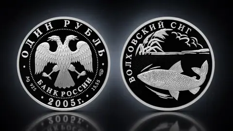 Волховский сиг