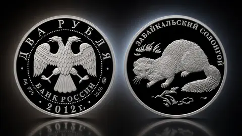 Забайкальский солонгой
