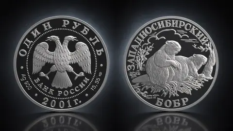 Западносибирский бобр