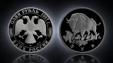 Зубр