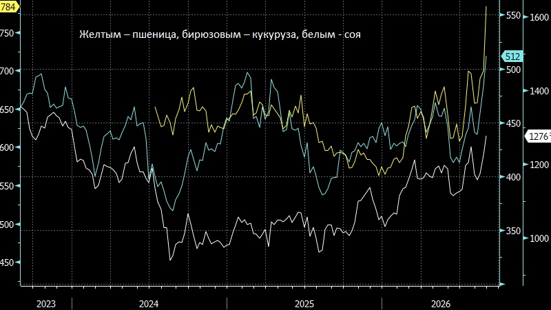 Пшеница показала рекордный недельный рост с марта 2022 года